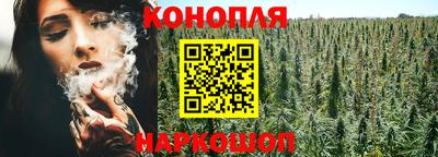 PSILOCYBIN Жуковский