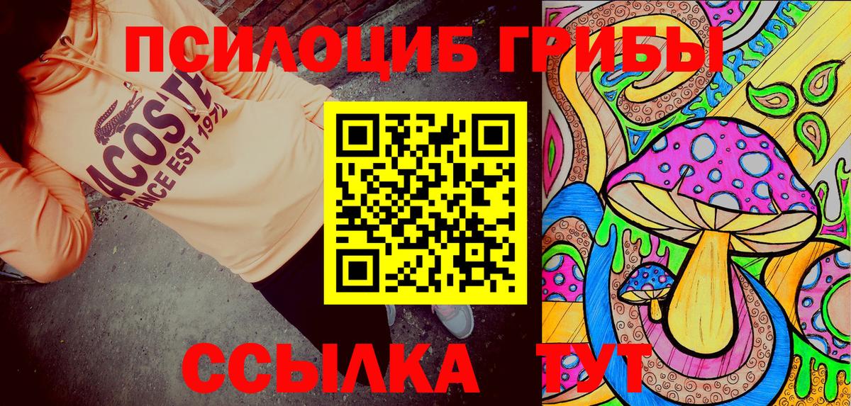 Псилоцибиновые грибы мицелий Старая Русса